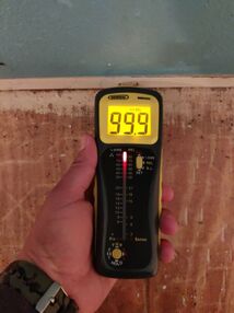 Thermal Image Inspection for Water Damage in San Antonio, TX (3)