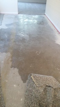 Water Extraction by Complete Clean Restoration