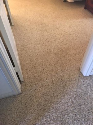 Carpet Stretching and Cleaning