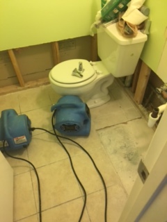 Toilet Overflow Remediation